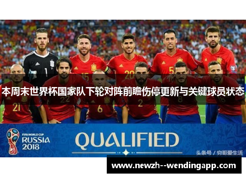 本周末世界杯国家队下轮对阵前瞻伤停更新与关键球员状态