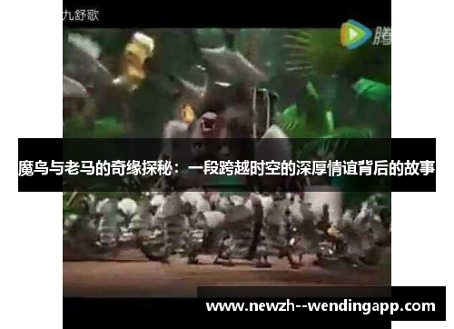 魔鸟与老马的奇缘探秘：一段跨越时空的深厚情谊背后的故事