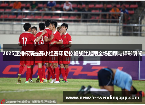2025亚洲杯预选赛小组赛印尼惊艳战胜越南全场回顾与精彩瞬间