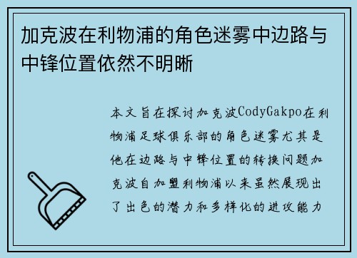 加克波在利物浦的角色迷雾中边路与中锋位置依然不明晰 加克波在利物浦的角色迷雾中边路与中锋位置依然不明晰